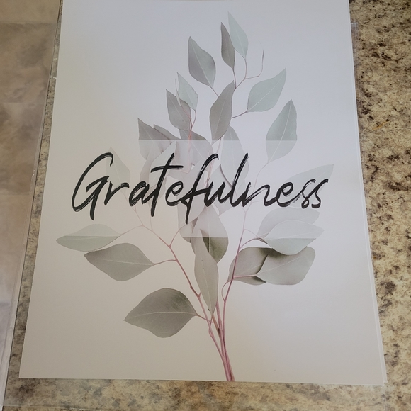 Six Botanical print wall art Eucalyptus leaves - Picture 5 of 8